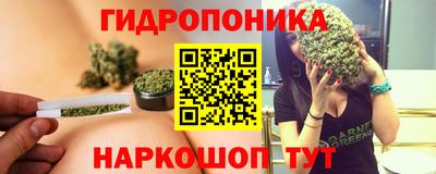 гидра Камышлов