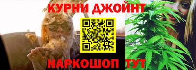 гидра Камышлов
