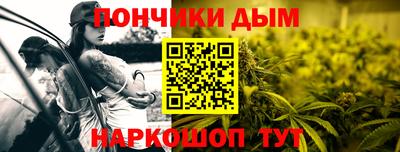 гидра Камышлов