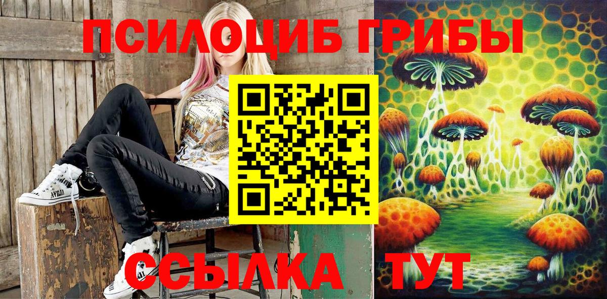 Галлюциногенные грибы Magic Shrooms Дальнегорск