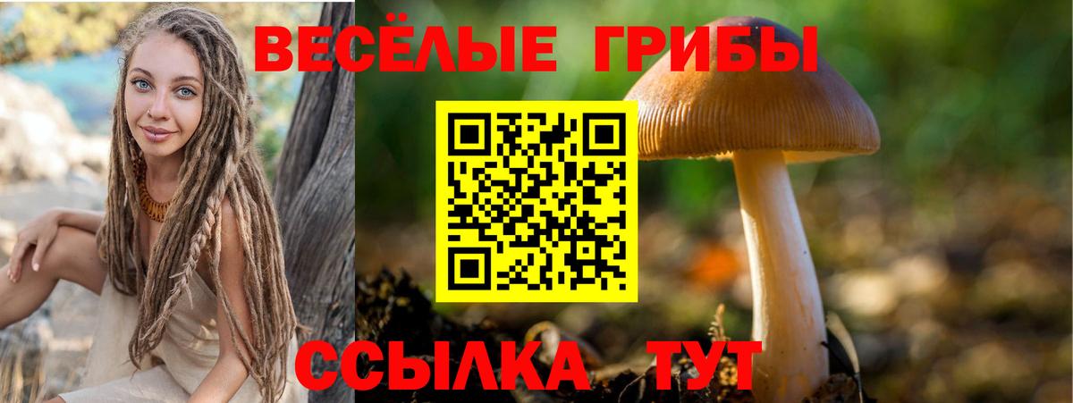 Галлюциногенные грибы мухоморы  Вход с VPN  купить наркотики сайты  Дальнегорск 